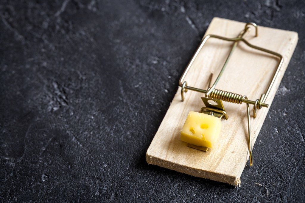 Wooden mousetrap with cheese