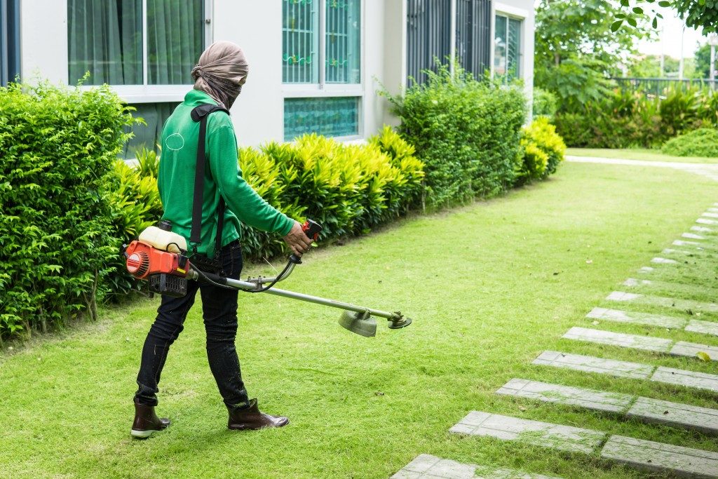 trimming lawn
