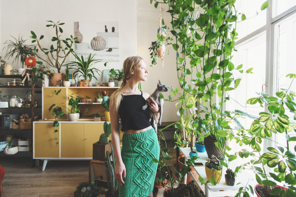 girl staring to a window with many indoor plants around