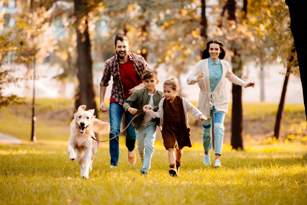 A family running with their dog in a grassy park