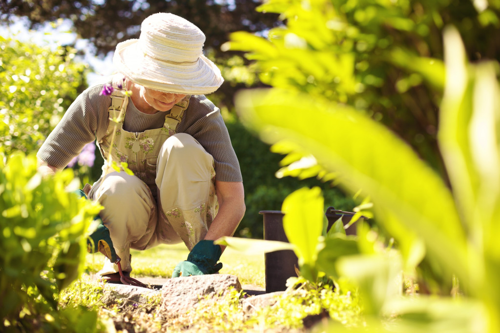 Adult homeowner performing gardening tasks
